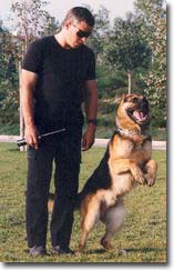 Jack with his police service dog in 1993